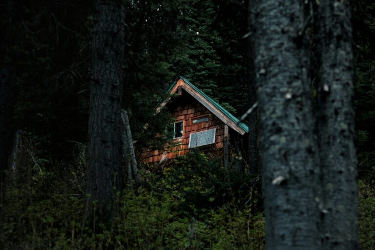 How Much Solar Do You Need for a Cabin: Daily Watt-Hours, Winter Sun, and Sizing From Real Use