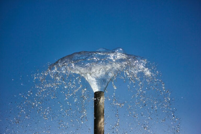 Best Solar Fountain Pumps in 2026: Flow Rate, Battery Backup, and Nozzles