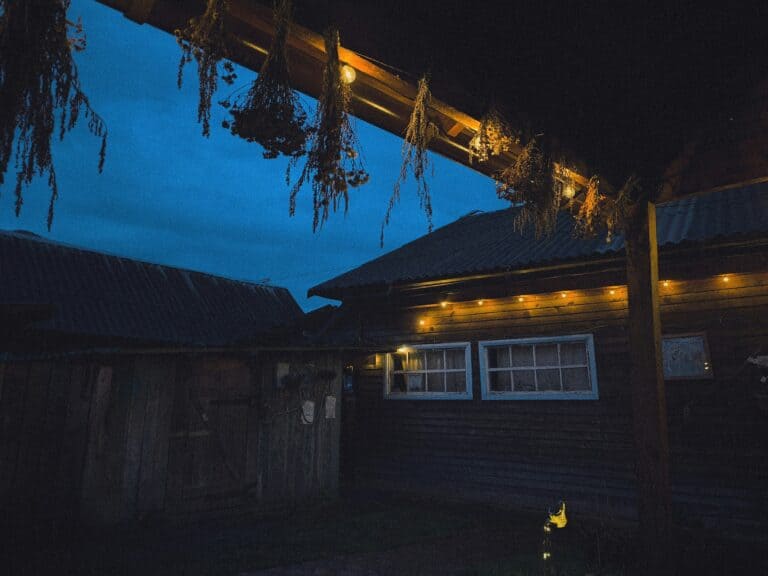 Best Solar Shed and Outbuilding Lighting Kits in 2026: Light Without Trenching a Cable