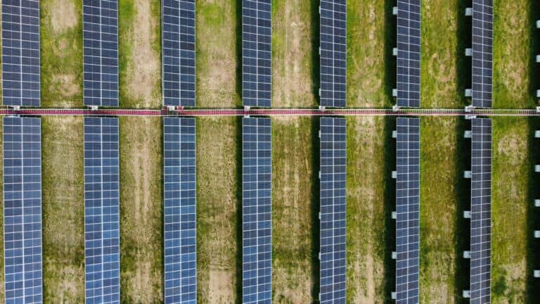 What Happens to Extra Solar Power: Grid, Battery, or Thrown Away