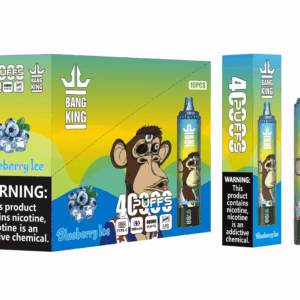 Bang King 40000 Blueberry Ice