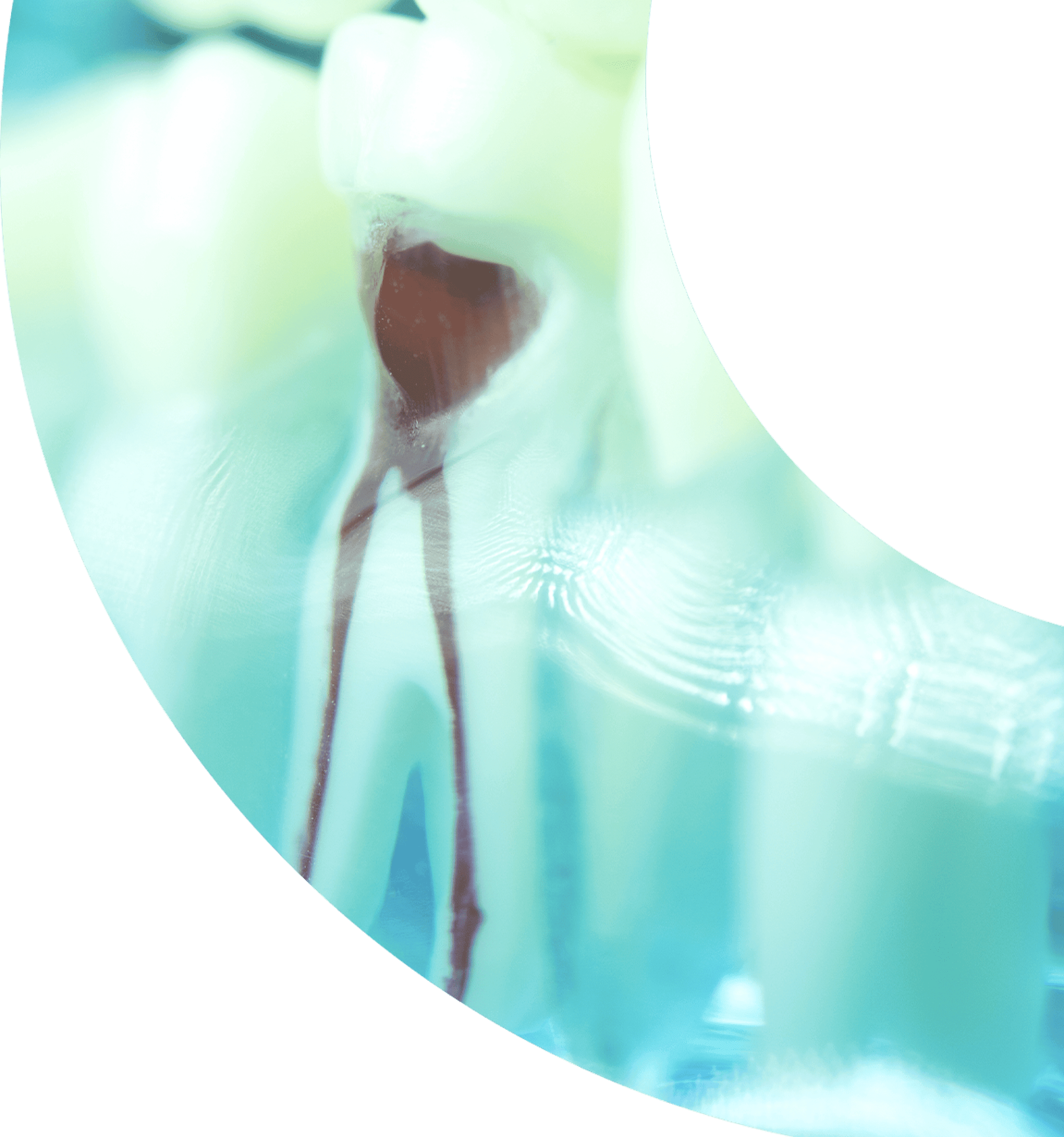 Rectangle 1 min