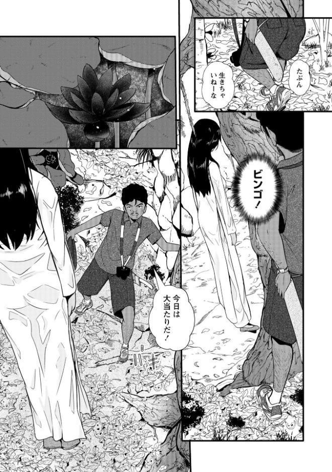 暗澹溟濛ノ怪 【通常版】