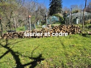vends lot bois peuplier,eucalyptus,cèdre,laurier