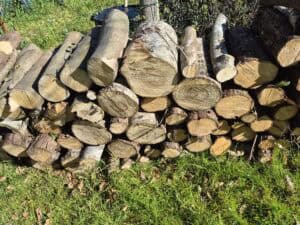 vends lot bois peuplier,eucalyptus,cèdre,laurier