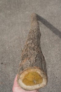 Je récupère vos arbres coupés (gratuitement)