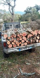 Bois de chauffage sec