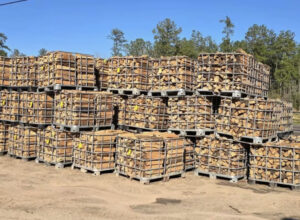 BOIS DE CHAUFFAGE PROFESSIONEL
