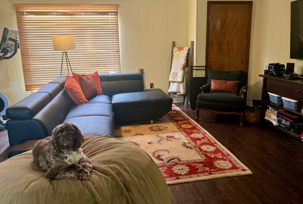 Cozy living room with black sectional sofa, armchair, and dog on ottoman.