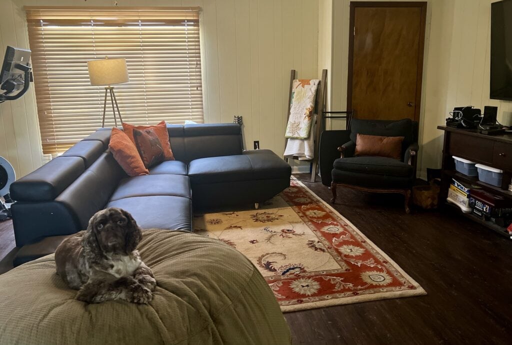 Comfortable living room with black sofa, armchair, and a dog resting on a cushion.