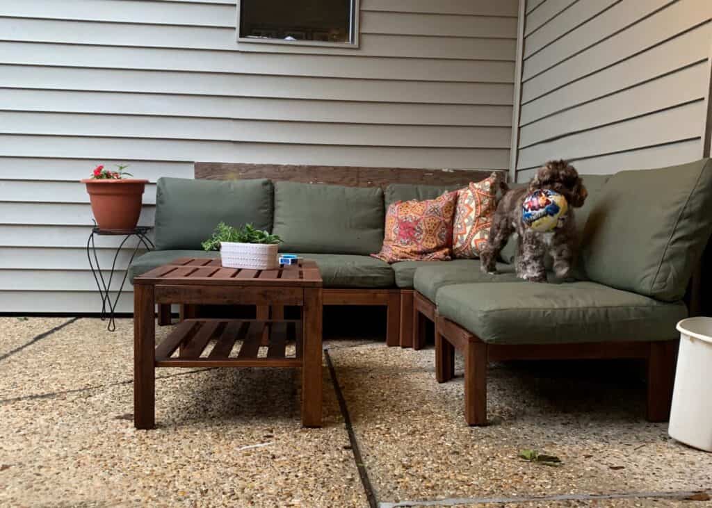 Outdoor patio with green cushioned seating and a small dog sitting on the sofa.