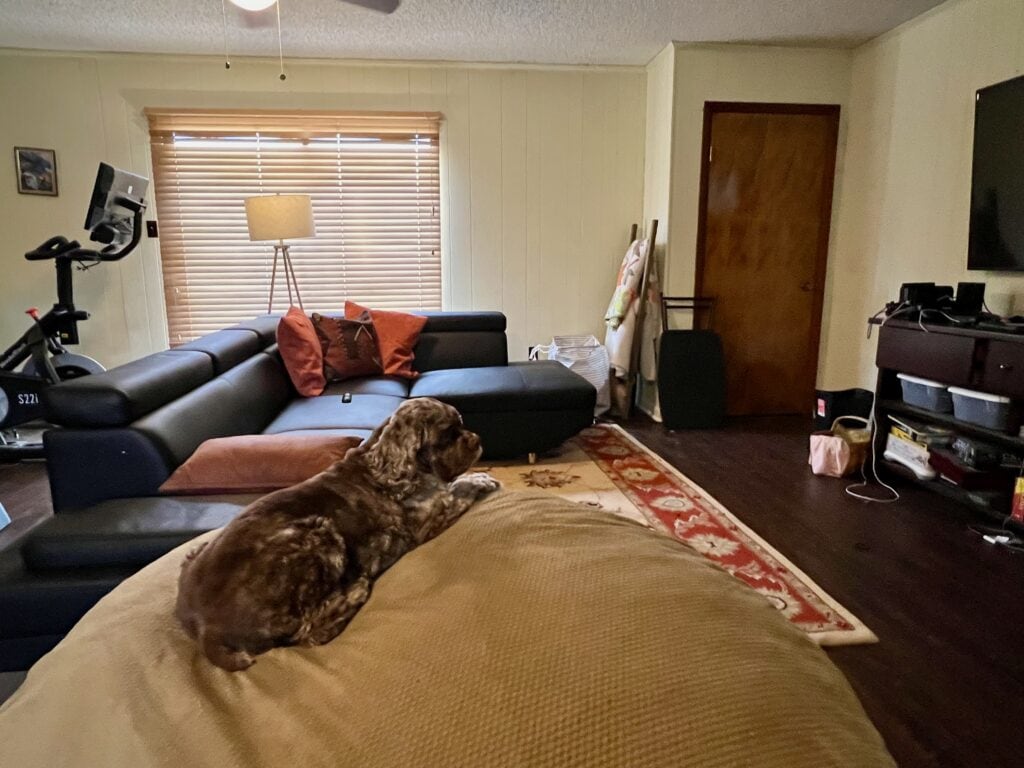 Cozy living room with a dog on the bed, sofa, and entertainment setup.