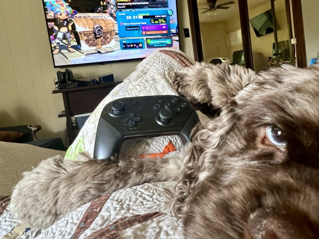 Dog lying on a person's lap with a gaming controller, watching TV.