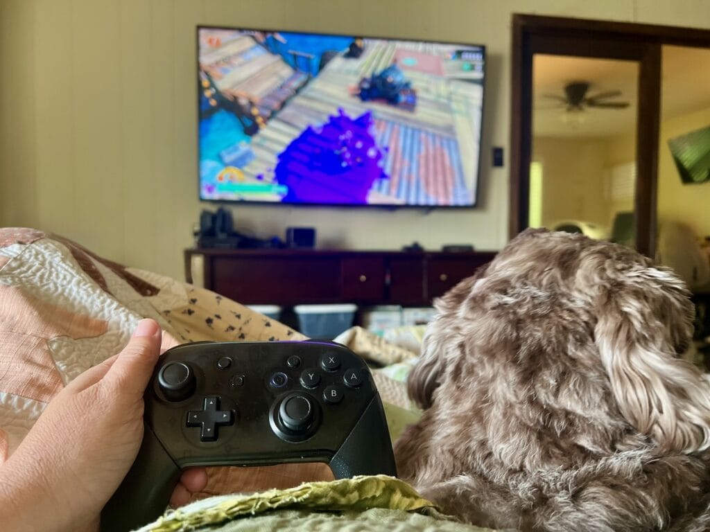 Person playing video games with dog on couch in a cozy living room.