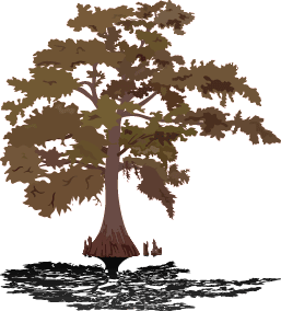 Stylized tree illustration representing growth and creativity for Redcypress Designs.