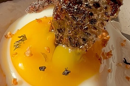 Gourmet breakfast with fried egg, crispy bacon, and toast, showcasing delicious food presentation.