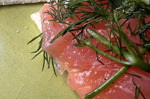 Close-up of cured salmon garnished with dill on a textured ceramic plate