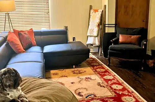 Cozy living room with sectional sofa, armchair, and decorative rug.