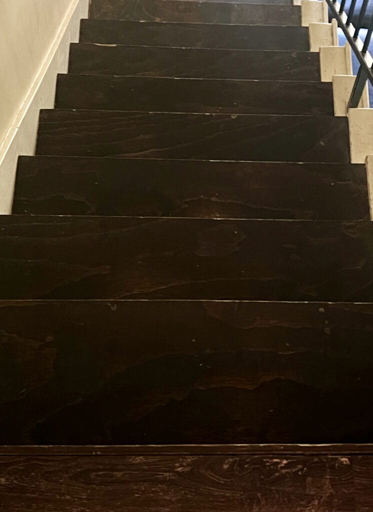 Dark stained wooden staircase with black railing and beige risers.