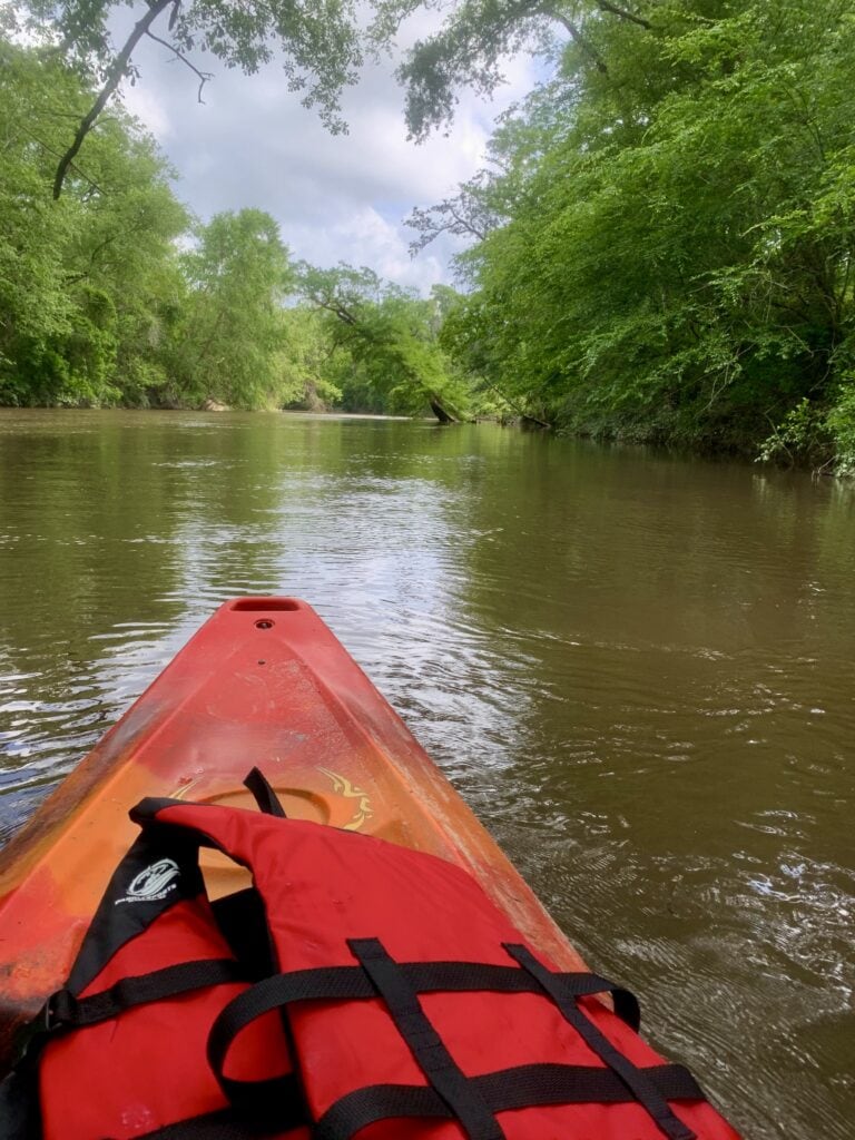 Kayaking through a lush green river surrounded by trees and nature.