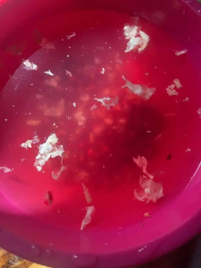 Bright pink juice with floating fruit bits in a pink bowl.