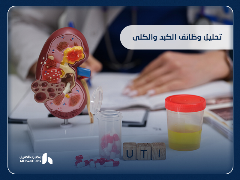تحليل وظائف الكبد والكلى: دليلك الشامل لفهم الأهمية وأماكن إجرائه في السعودية