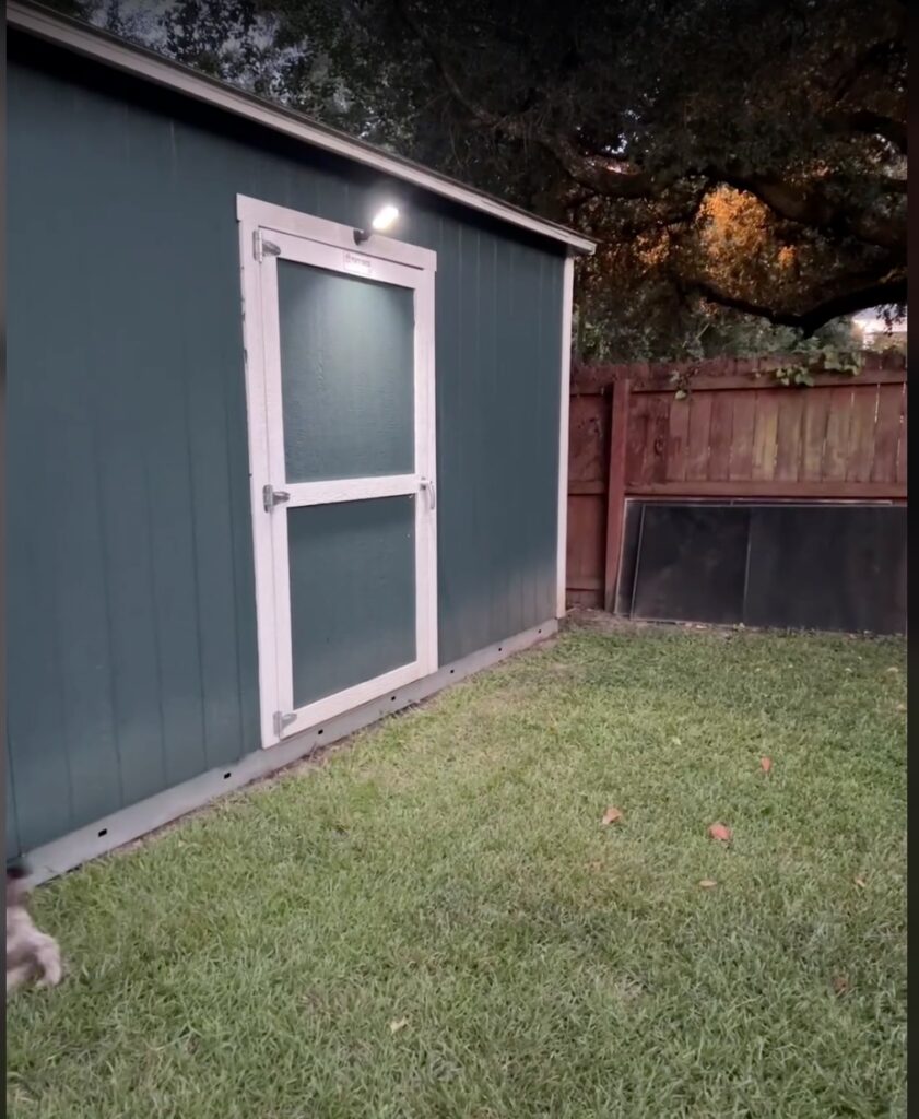 Green shed with white door in backyard, outdoor lighting, and wooden fence.