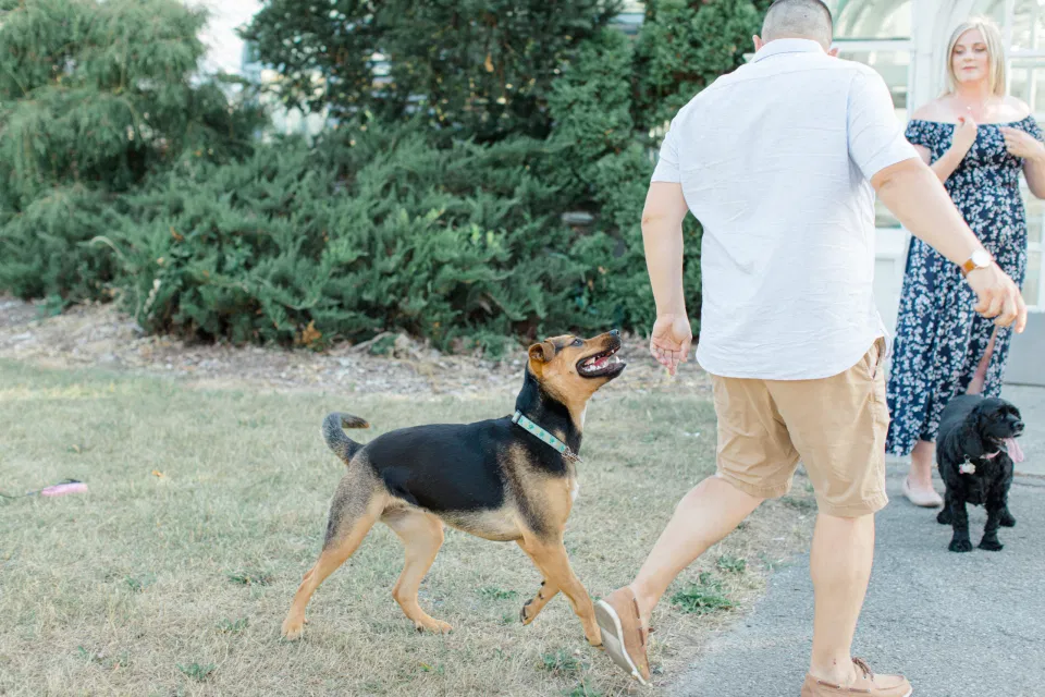 Summer Engagement Session inspiration - Neutrals, Blues, Flowy Dress - Floral Print Navy - Grey Loft Studio - Ottawa Wedding Photographer - Wedding Videographer - Fun, Natural, Bright Photo Video Team. - Photographe - Greyloft - Ottawa Engagement Pictures - Dogs in Photos