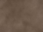 Burnt Gray