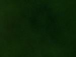 Oliva Green