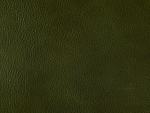 Lindwyrm Green