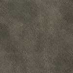 Ash Gray
