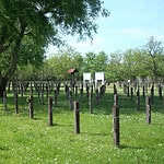 301 Parcella