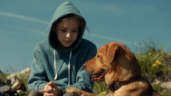 Courtesy of Festival de Cannes "White God"