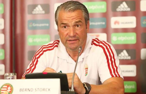 Bernd Storck a hétfői sajtótájékoztatón (Fotó: Koncz György)