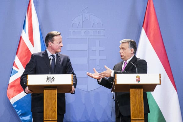 cameron-orban