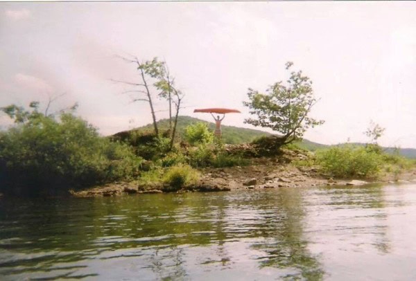 KozmonGyula