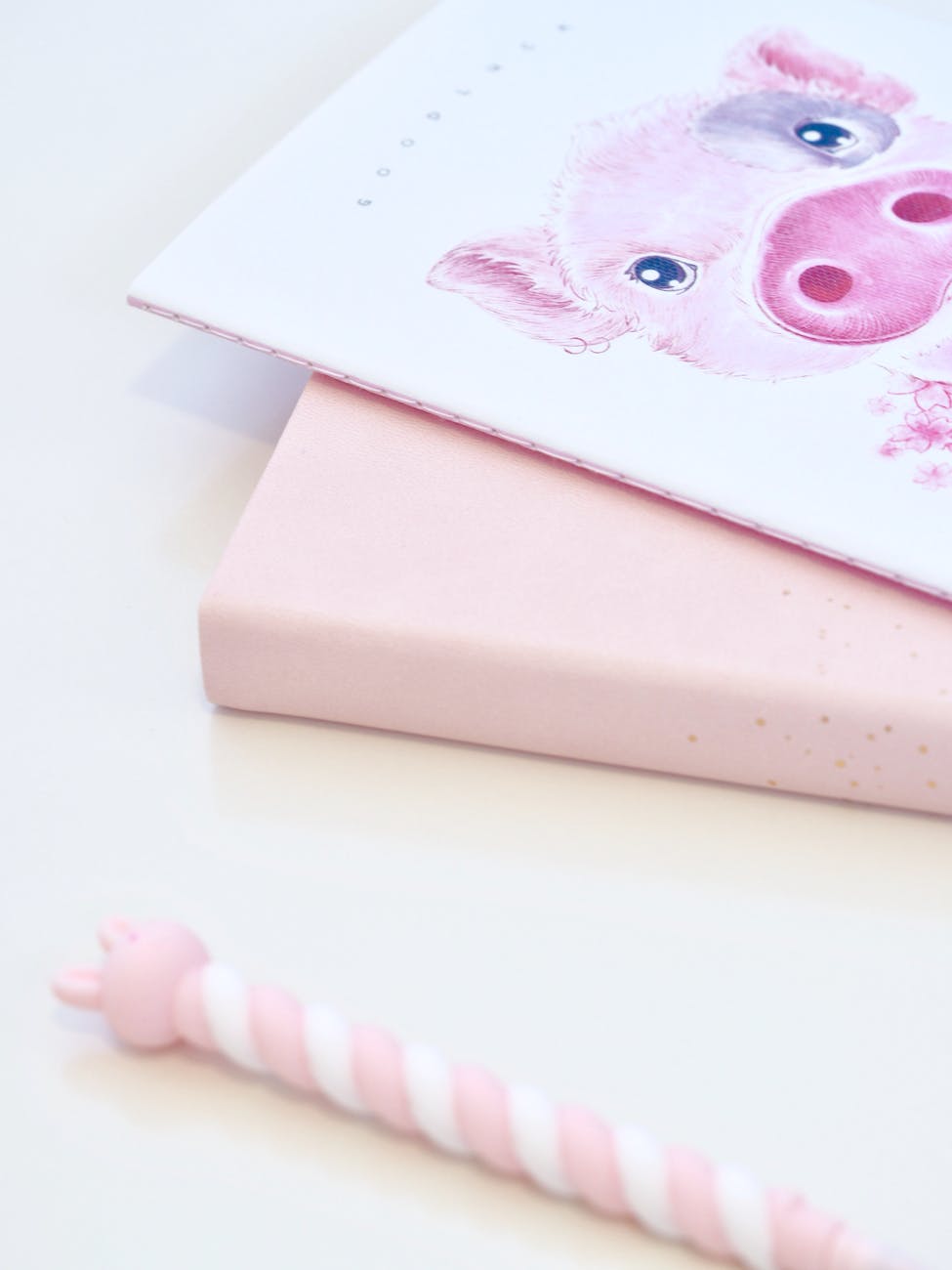 white and pink pig painting and pink book