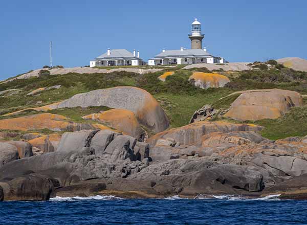 Montague Island, off the coast of Narooma, NSW