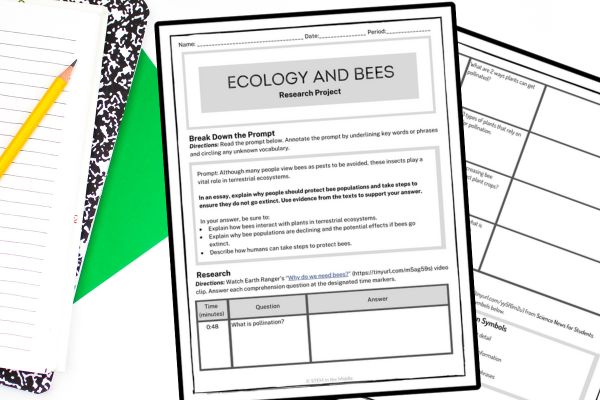 This image shows a set of worksheets titled "Ecolocy and Bees Research Project" on a white background. On the left side is a composition book and pencil.