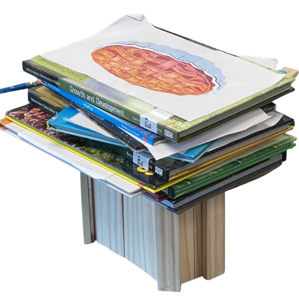This image shows a Thanksgiving table built from wooden blocks. "Food" (books with food pictures attached) is stacked on top of the table.
