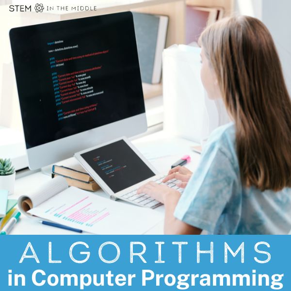 This image shows a teen sitting at a desk writing a computer program. There is a highlighted sheet of paper on the desk. The text reads "Algorithms in Computer Programming."