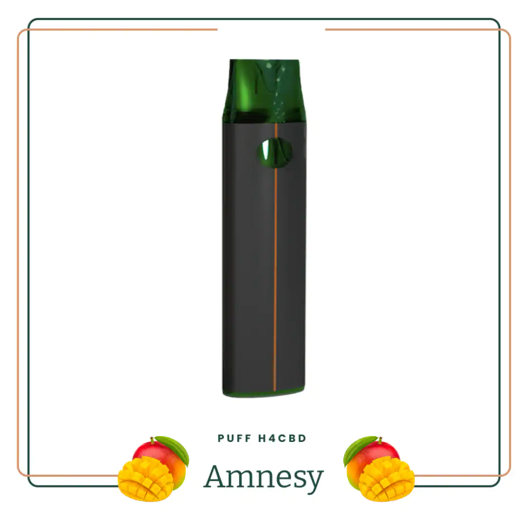 puff amnesy