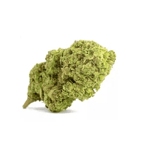 Fleurs-cbd-northern light