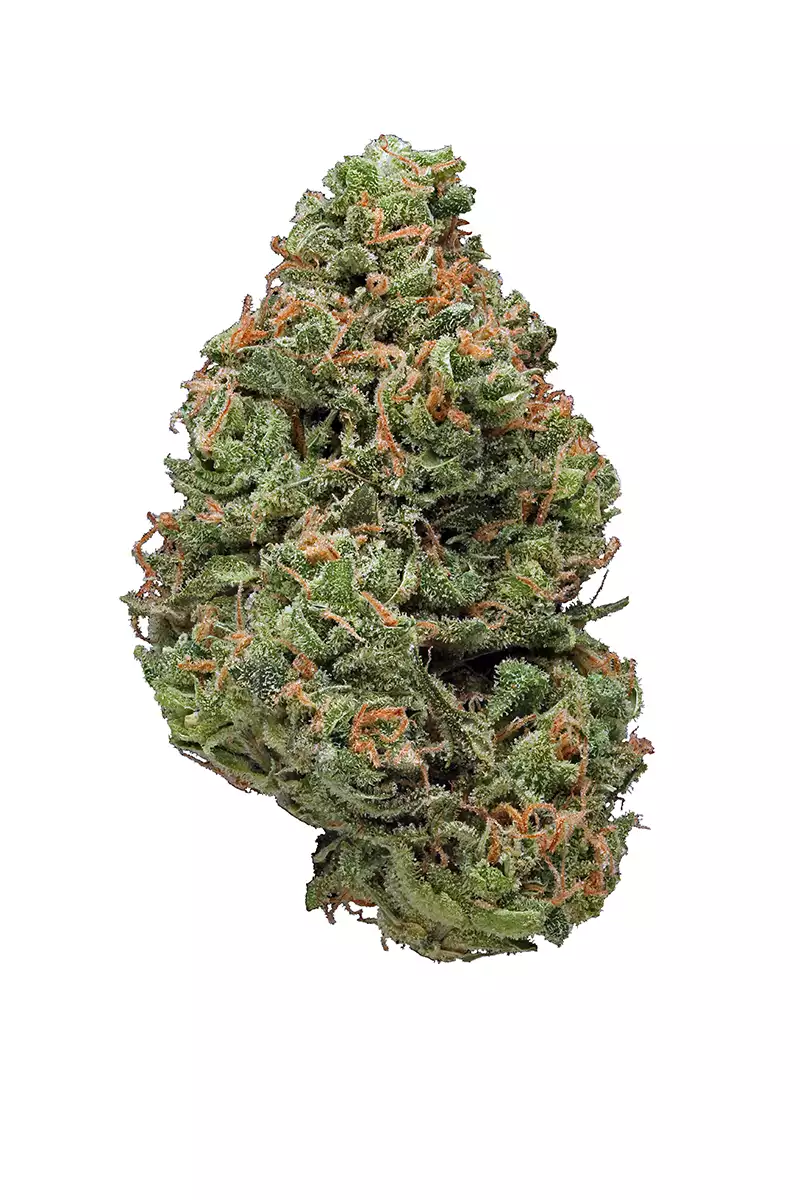 AK47 CBD 16 %