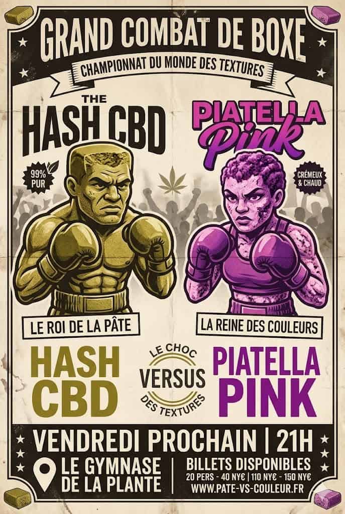 comparaison piatella CBD vs hash CBD texture couleur fabrication