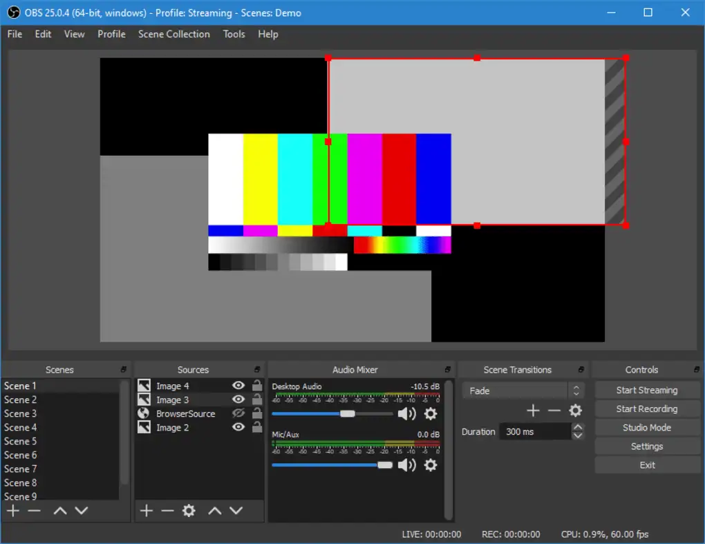 Open Broadcaster Software (OBS)