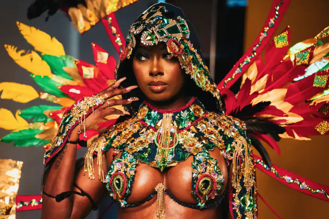 Vibrant carnival costume with colorful feathers and dazzling jewelry, showcasing cultural heritage and artistic expression.