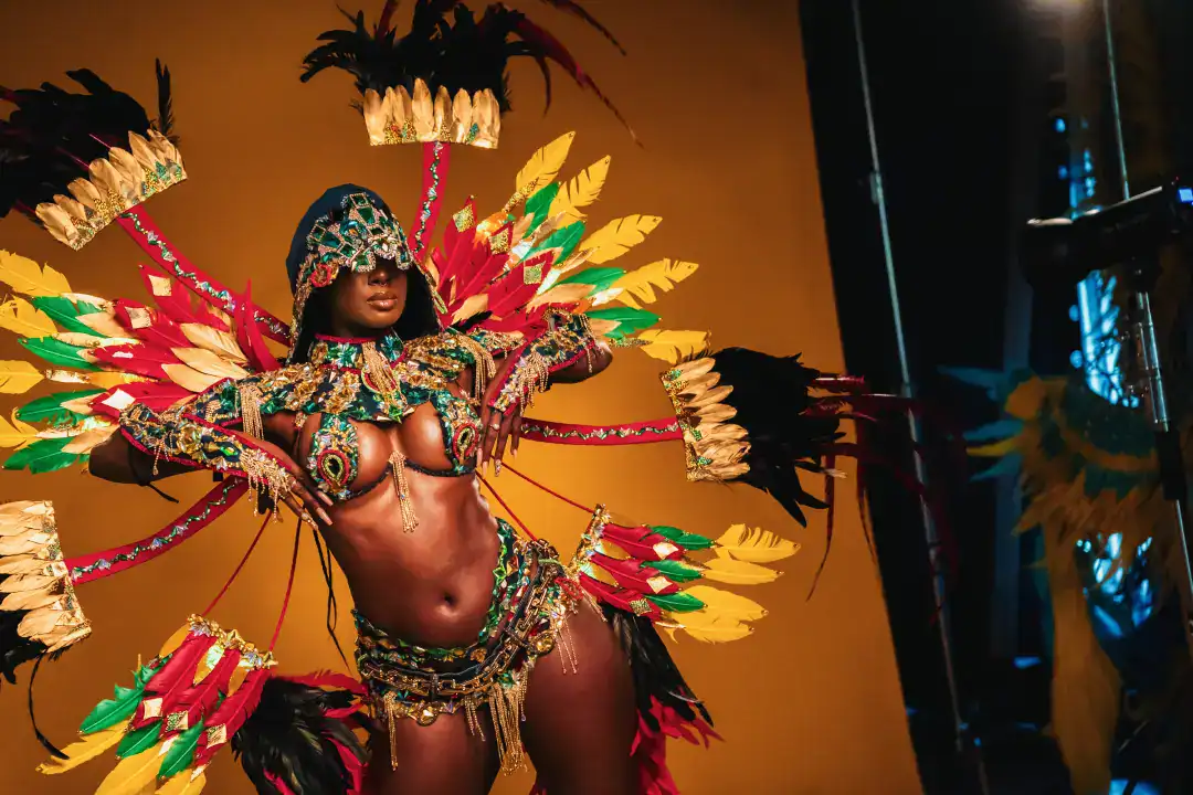 Vibrant carnival costume featuring feathers, beads, and intricate beadwork, worn by a performer with a hidden face, showcasing lively cultural celebration attire.