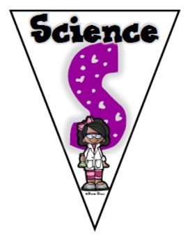 STEM or STEAM Pennant Banner - Image 2